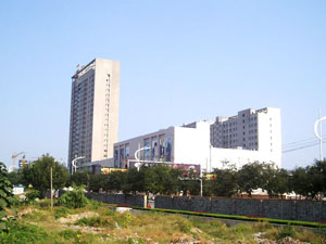 ���ֽ�ï�㳡