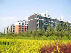 ��������е����ߵ糧����