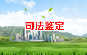 ���˾������